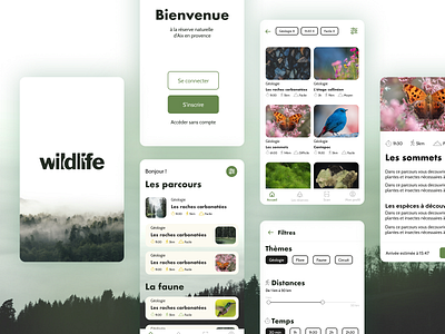 Wildlife - UX/UI design