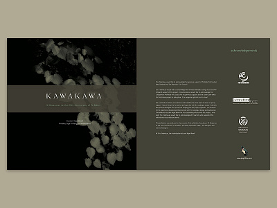 Kawakawa Art Catalogue - Inside Cover & Acknowledgements art exhibition contemporary art design exhibition design graphic design maori art new zealand art painting