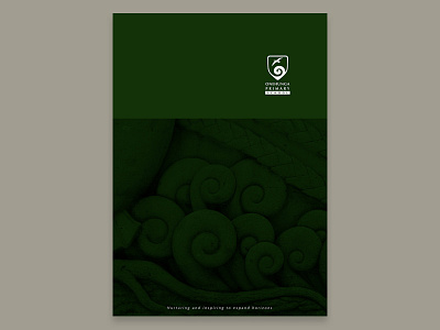 Onehunga Primary School Folder artwork branding design folder graphic design illustration logo logo design typography