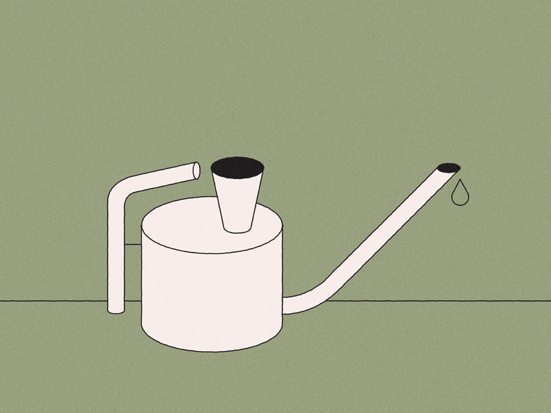 Watering Cans illustration plants watering can