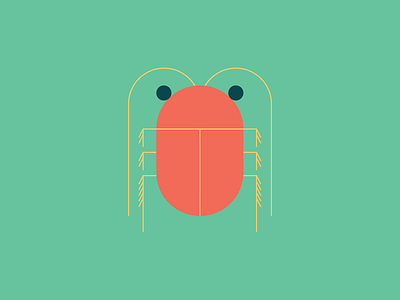 Buggin' bug geometric illustration roach