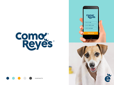 Como Reyes Pet App Branding app app concept app design brand branding branding design design icon illustration logo pet photo typography vector