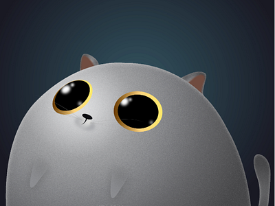 Round Cat cat illustration ears eyes