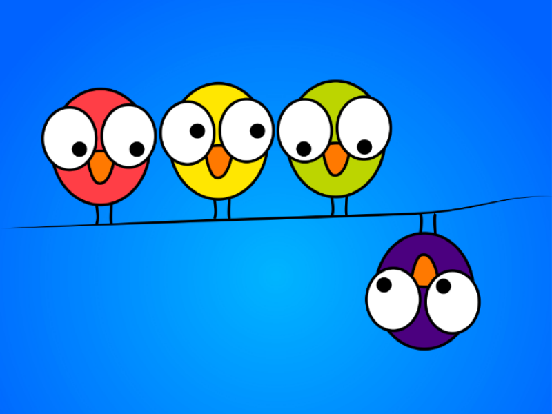 Bird Illustration bird illustration different
