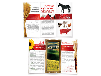 Leaflet agronomy graphic design leaflet printing