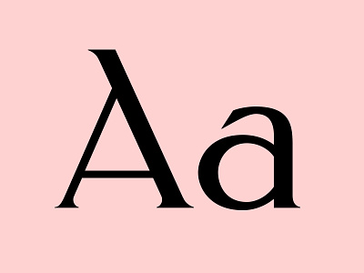 Custom Typeface WIP font glyph glyphs letter serif type design typeface typography