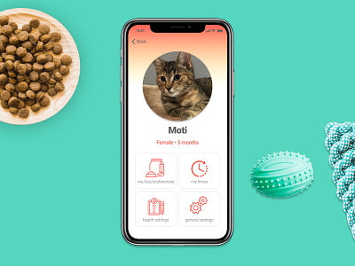 DailyUI challenge #006 Profile Page cat dailyui dailyui006 food pet profile profile screen