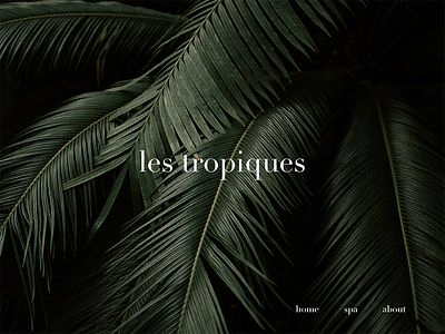 les tropiques by laura engel dark design green spa tropical web