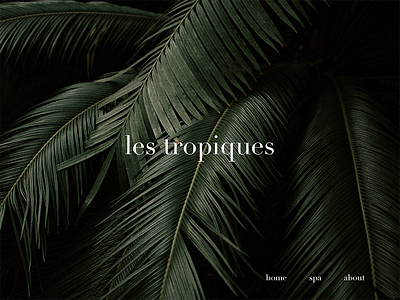 les tropiques by laura engel