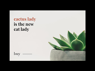Cactus Laura Engel cactus cat clean design green passion shop webdesign