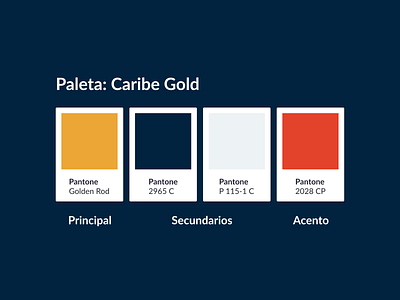 Proyect: Caribe Gold brand branding color color palette colorful design diseño interfaces logo luxury spanish ui