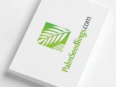 Palmseedlings beautiful branding color design flat illustration logo modern simplicity ui