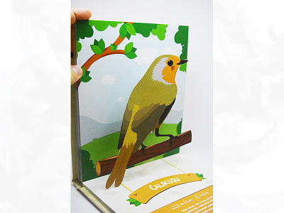 Pop-up Book 3d bird birds book cute animal dribbble illustator illustration illustration digital popup vector vector design