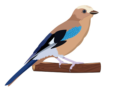 Alakarga alakarga bird bird illustration illustrator istanbul kus kuslar turkey vector
