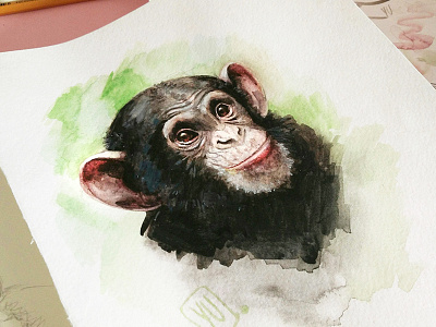 Watercolor Monkey animal color illustration monkey paint watercolor