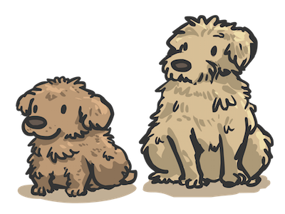 Poodles Mix breed dog illustration poodles vector