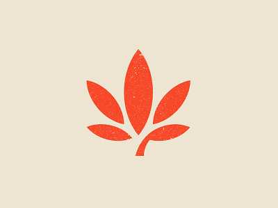 Quanoeed cannabis logo concept. cannabis cannabis logo design designer logo mark symbol