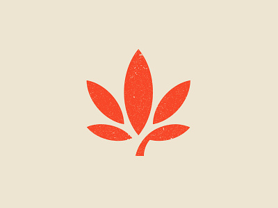 Quanoeed cannabis logo concept.