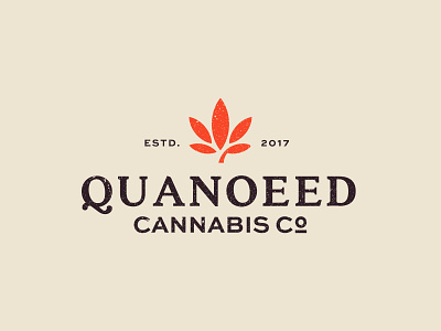 Quanoeed Cannabis branding cannabis cannabis branding cannabis logo design designer identity logo mark symbol