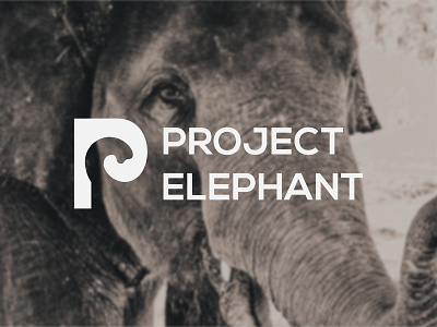 PROJECT ELEPHANT