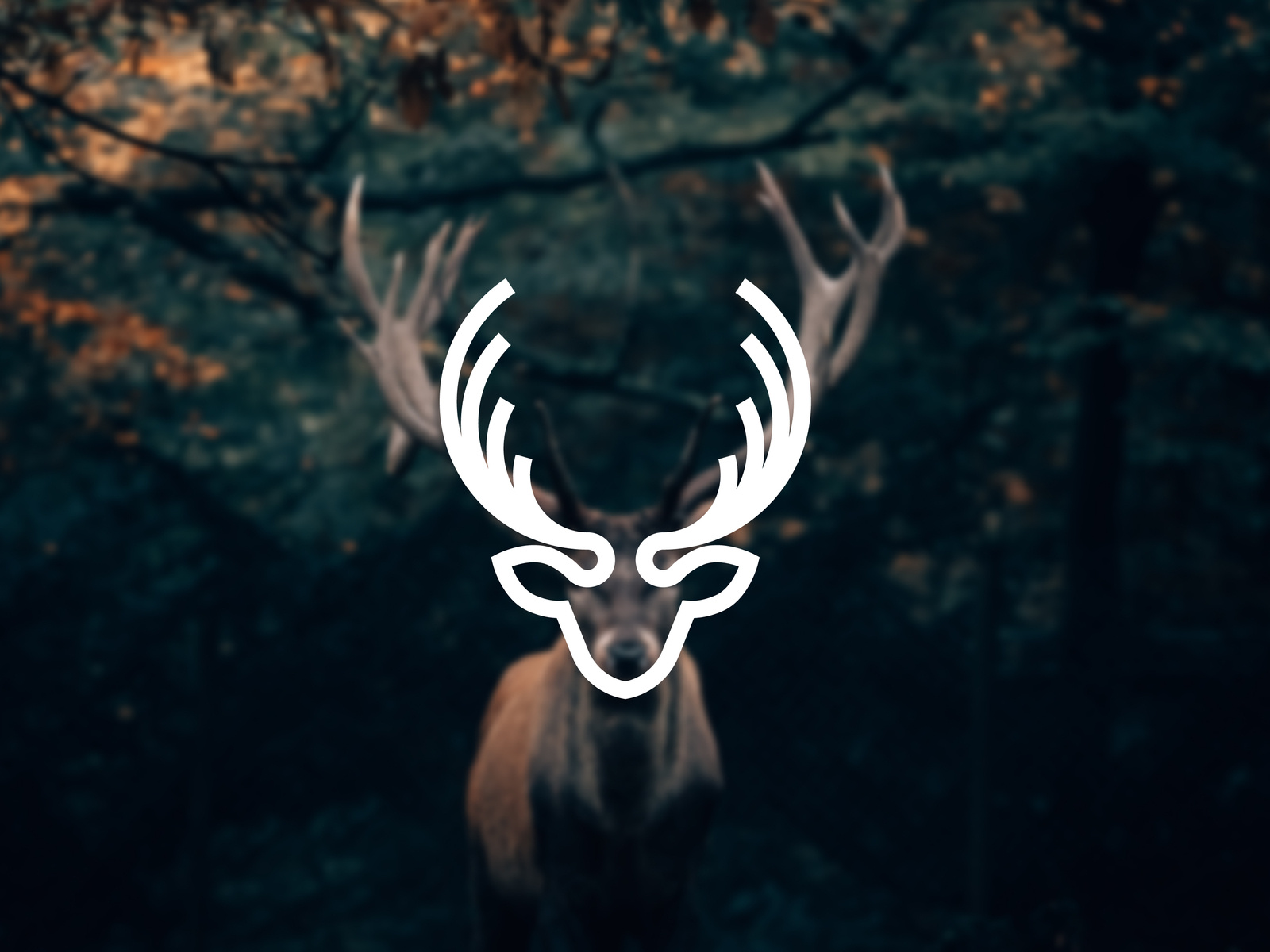 Deer logo. by designbyhelios on Dribbble