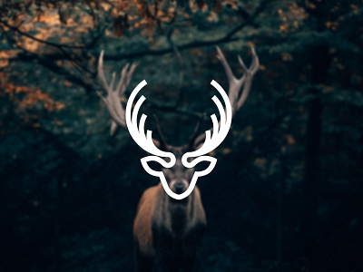 Deer logo. animal animallogo antler branding deer logo design designer experiment illustration logo mark symbol