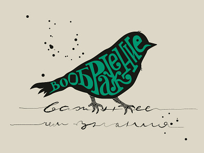 Lettering bird illustration imagination lettering