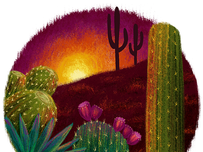 Psychedelic sunset cactus colorful desert editorial illustration nature succulents sunset