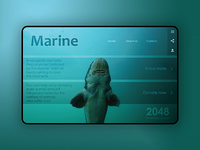 Marine project Web design