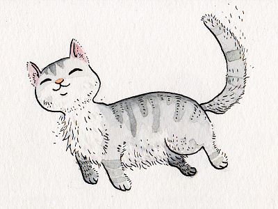 Miss Chiquita cat illustration pen and ink sketchbook watercolor