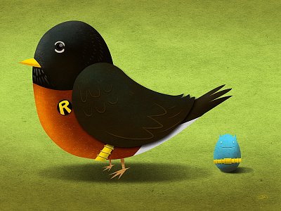 Robin american robin bird egg illustration illustrator photoshop robin
