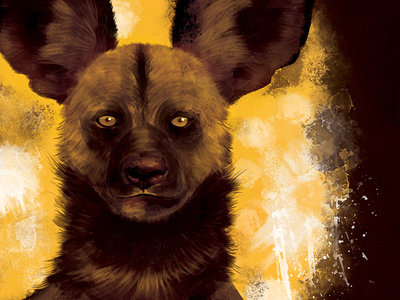 Painted Painted Dog