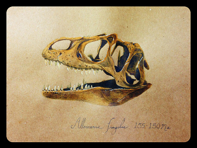 Allosaurus fragilis allosaurus dinosaur illustration sketchbook watercolor