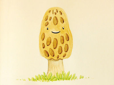 Morel Mushroom illustration morel mushroom sketchbook watercolor