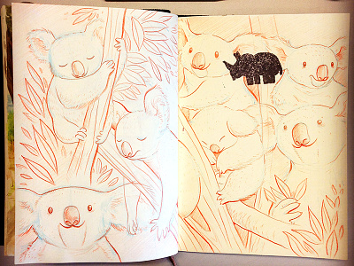Koalafornia! illustration koala pencil sketchbook