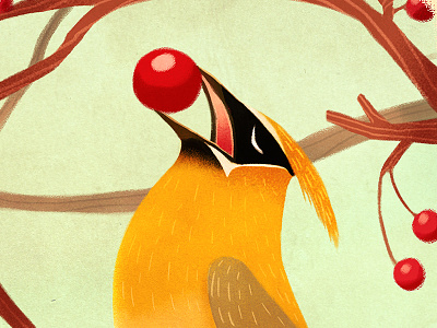 Cedar Waxwing (Bombycilla cedrorum) bird cedar waxwing illustration photoshop