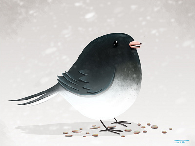 Dark-eyed Junco bird dark eyed junco digital painting illustration photoshop