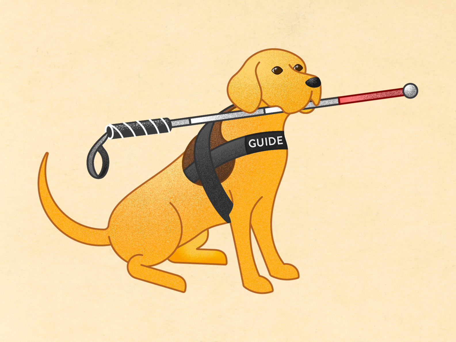 Guide Dog with White Cane by David H☻☻K on Dribbble