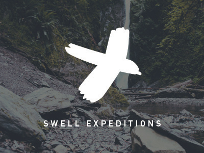 A swell bird logo :)