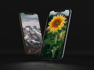 iPhone 11 Pro Mockup Pack 11 pro 3d application black blank business design device display illustration ios iphone 11 iphone x layered mobile mockup modern phone photoshop preview