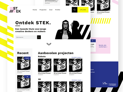 Website Design for STEK design ui ui design ux ux design