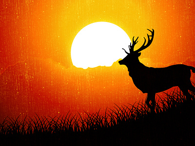 Sunrise time deer illustration