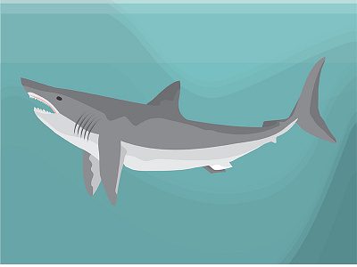 Shark Week great white illustration shark week sharks sharkweek2015