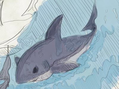Shark doodle great white illustration shark week sharks sharkweek2015