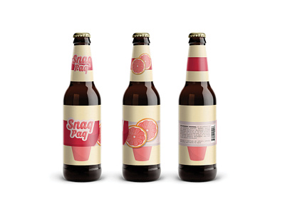 Snaq Paq! beer branding design fruit grapefruit graphic design illustrator snack pack