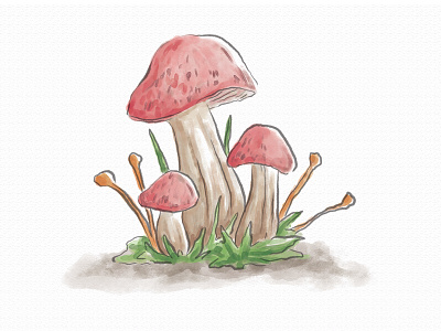 Mushroom Watercolor Illustrations app branding illustration watercolor art