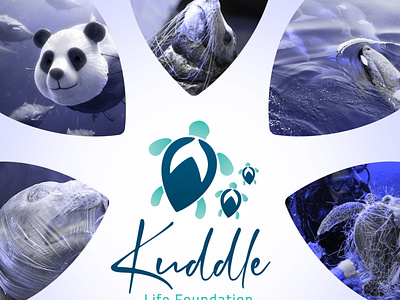 Kuddle - Marine Animals Welfare NGO branding brandmark company design graphic design logo