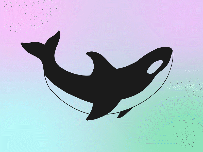 Pastel Orca 🐋 animation illustration orca