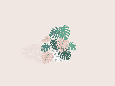 Plant decorative design green growing houseplant illustration illustrator minimal monstera plants shadow vector