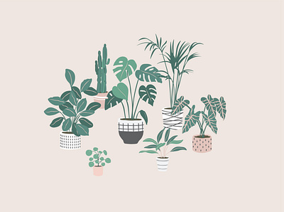 Plants decorative design green growing houseplants illustration illustrator minimal plants vector